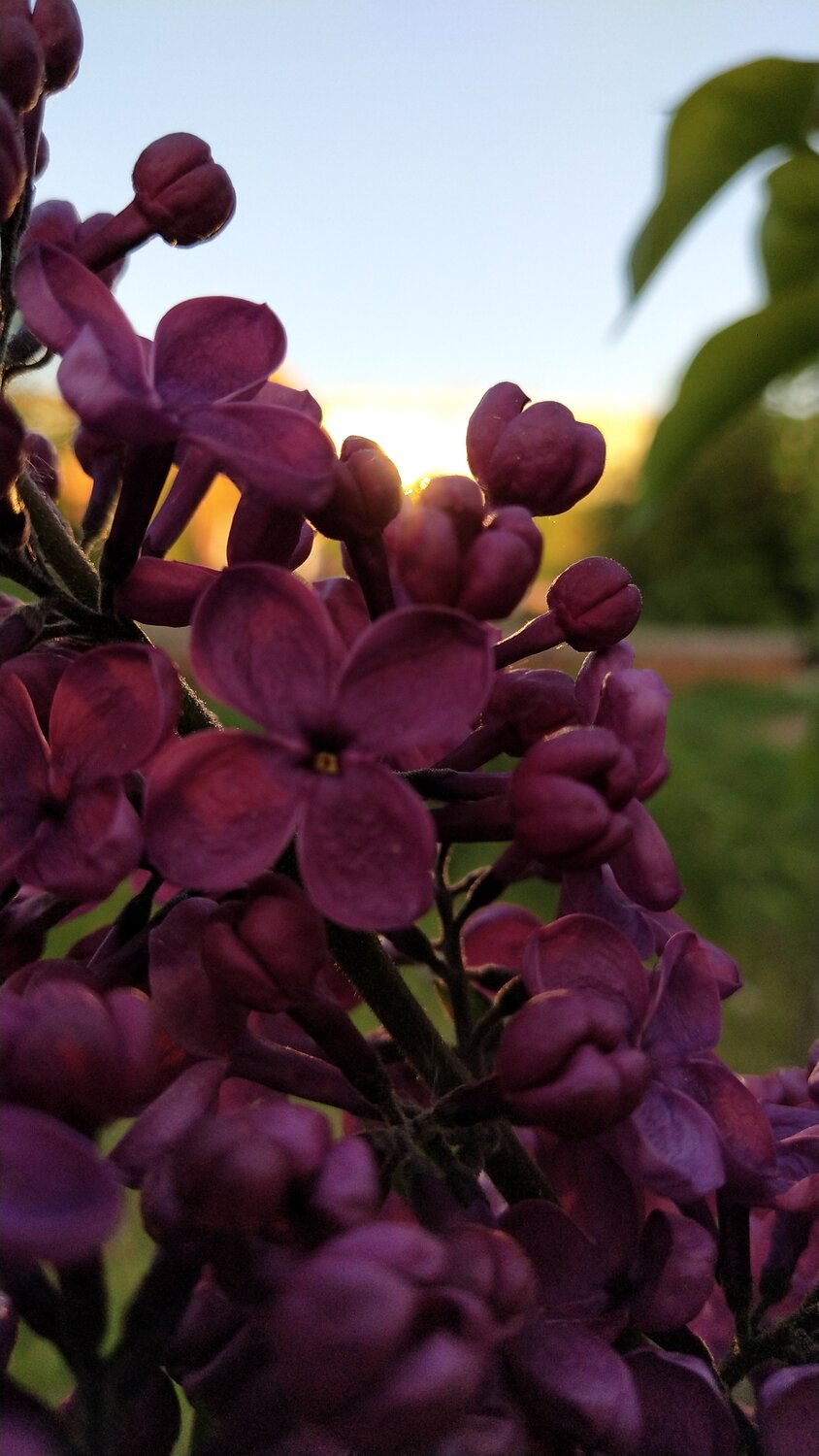 Photo #6068026