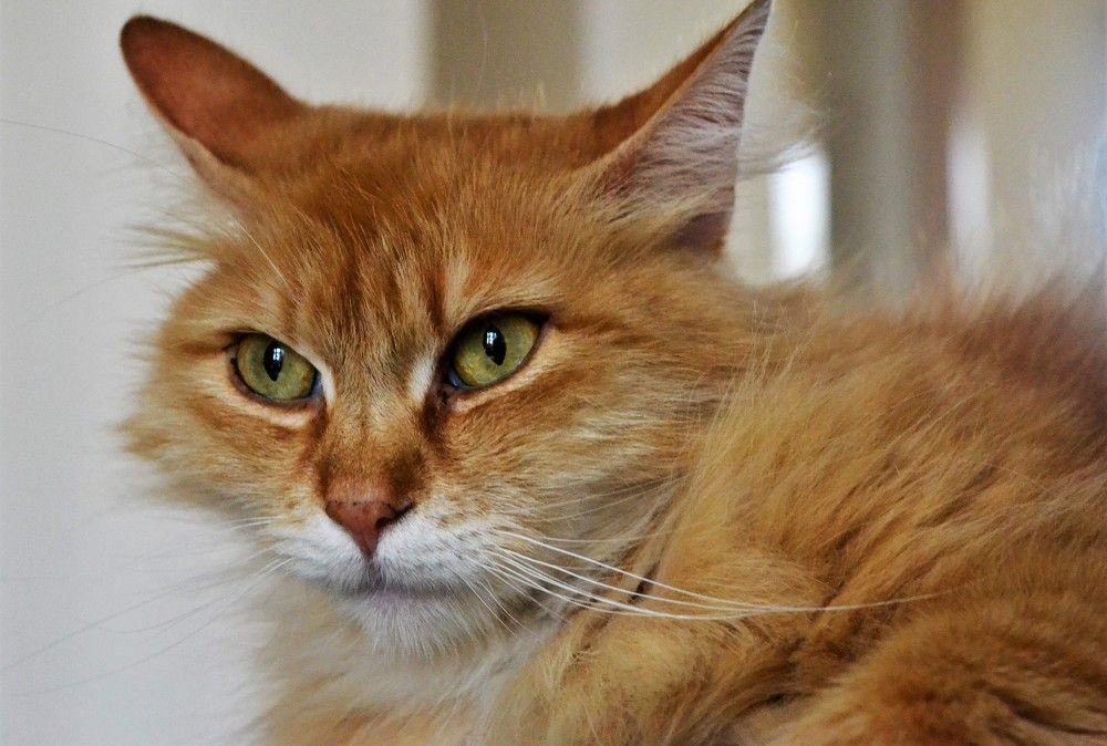 Photograph by Zdeňka Hudcová