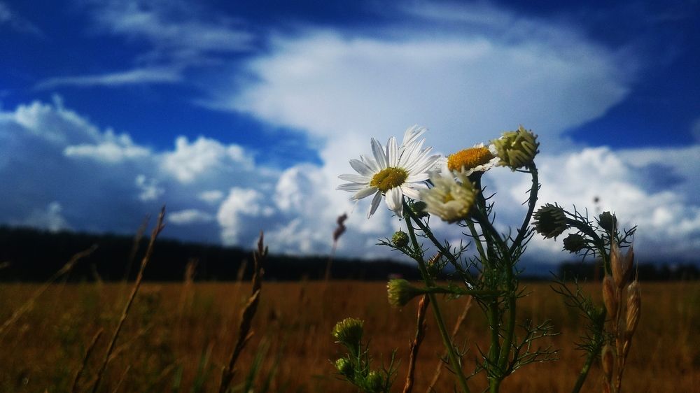 Photograph by Вадим Кумпяк