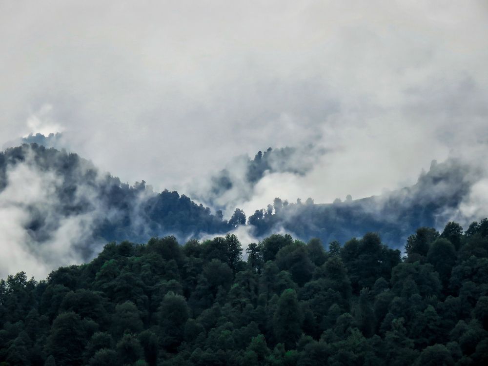 Photograph by Bahrami Ashkan