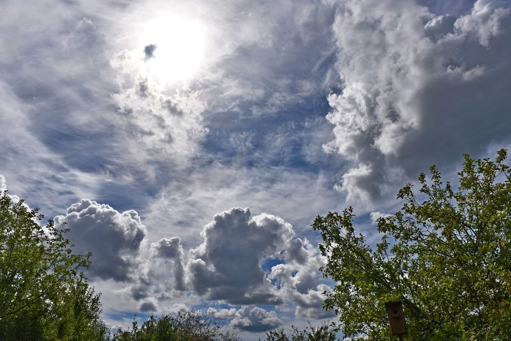 Photograph by Дмитрий Розенбаум