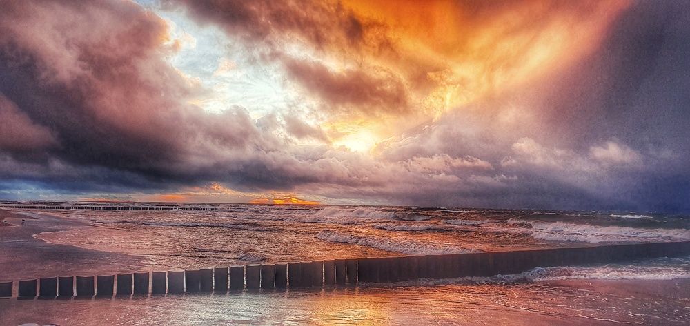 Photograph by Maja Kacprzyk