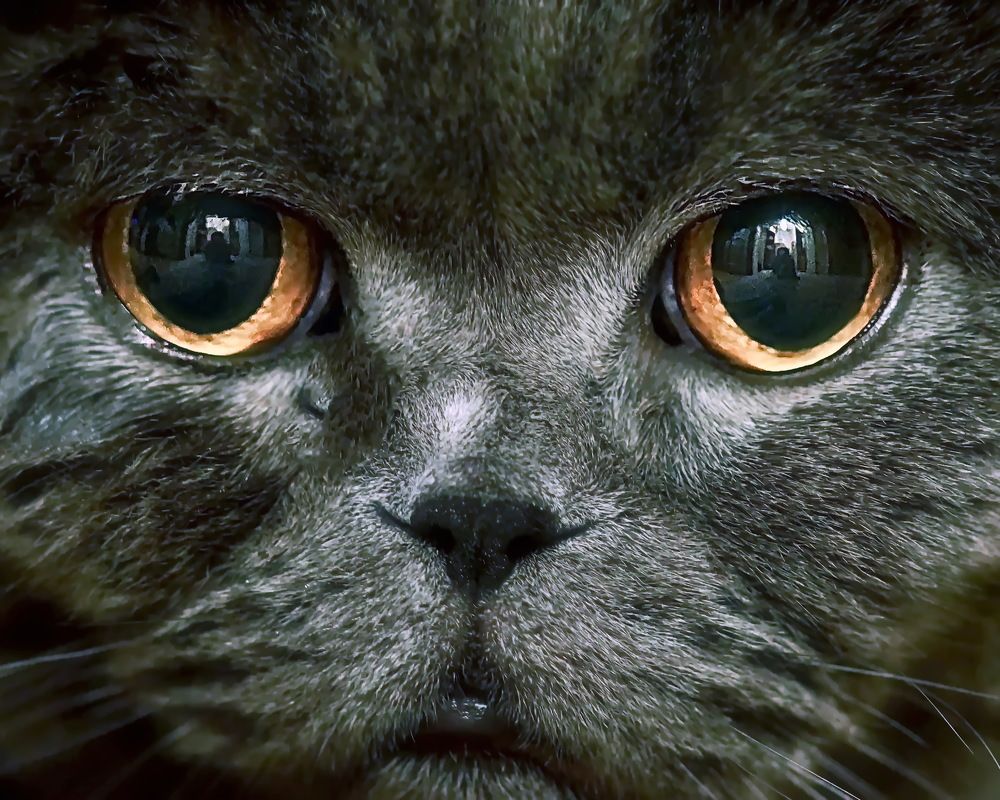 Photograph by Евгений Жиляев