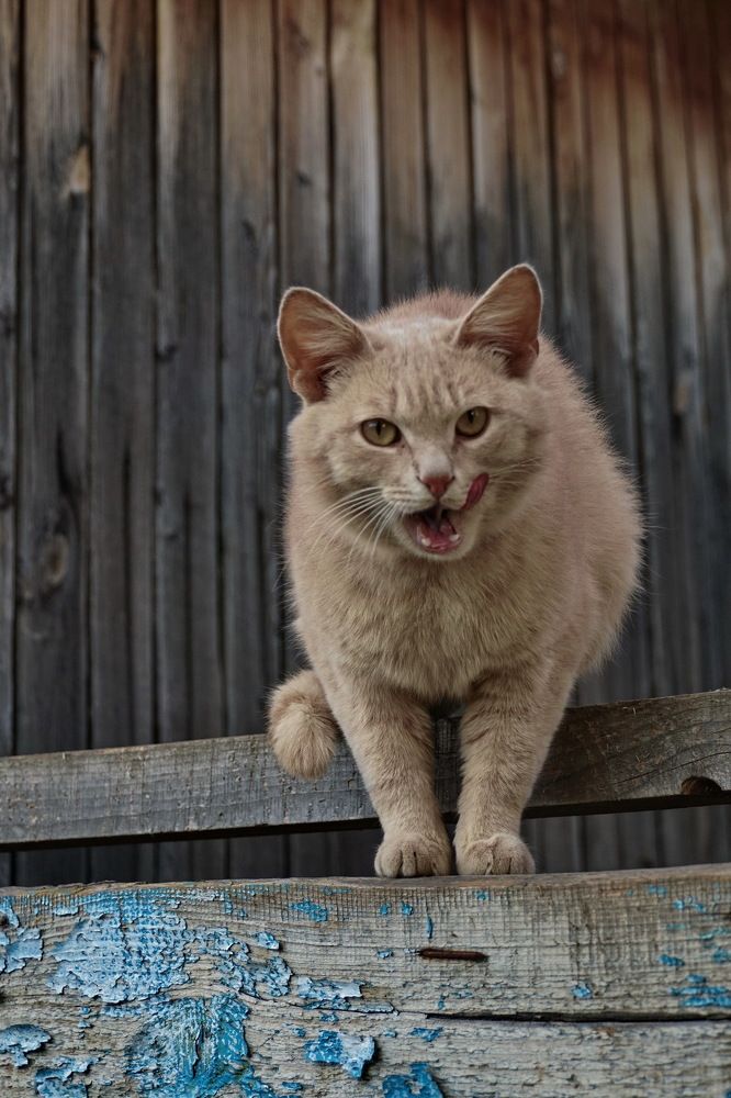 Photograph by Евгений Жиляев