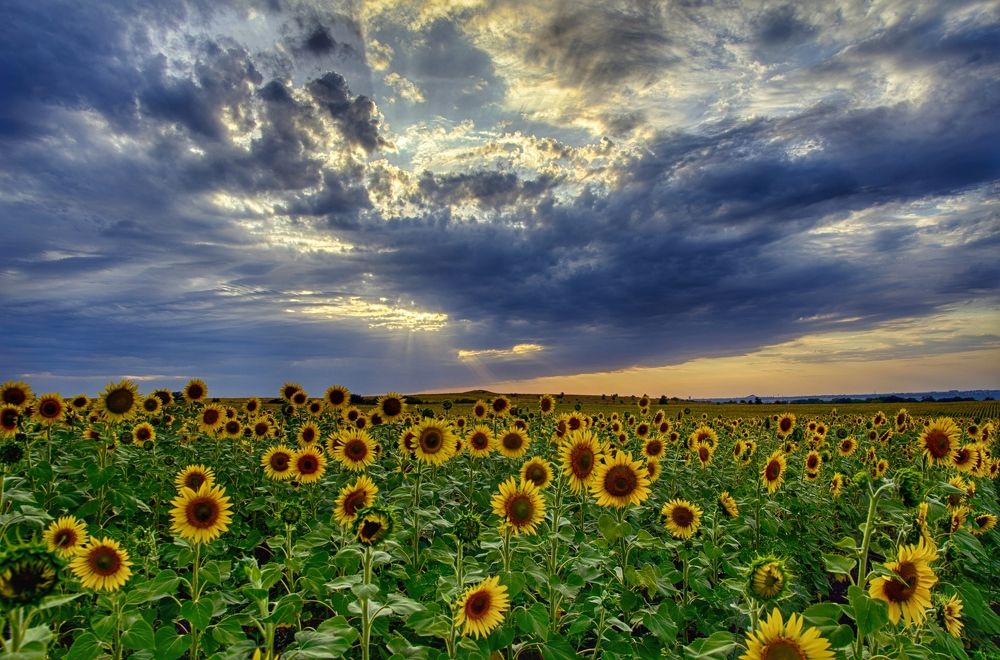 Фотография автора Vladislav Shilo