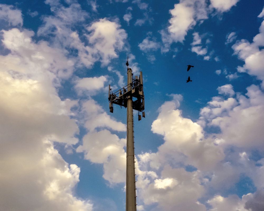 Photograph by Mohamed Aashik Mohamed Caseem