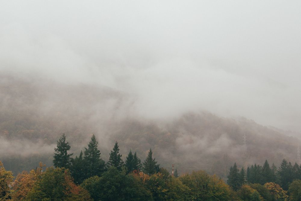 Красная поляна.