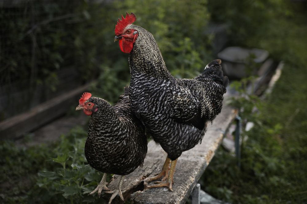 Photograph by Ирина Гончаренко