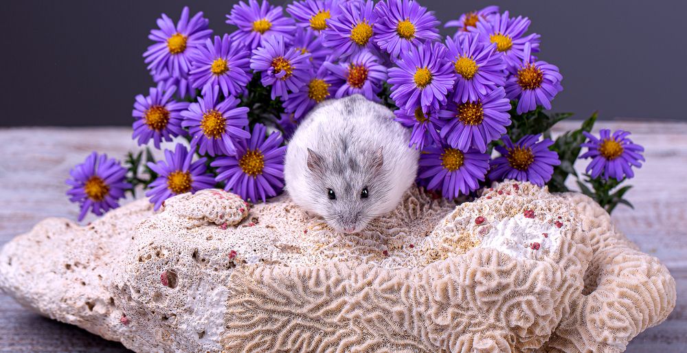 Фотография автора Наталья Кайзер