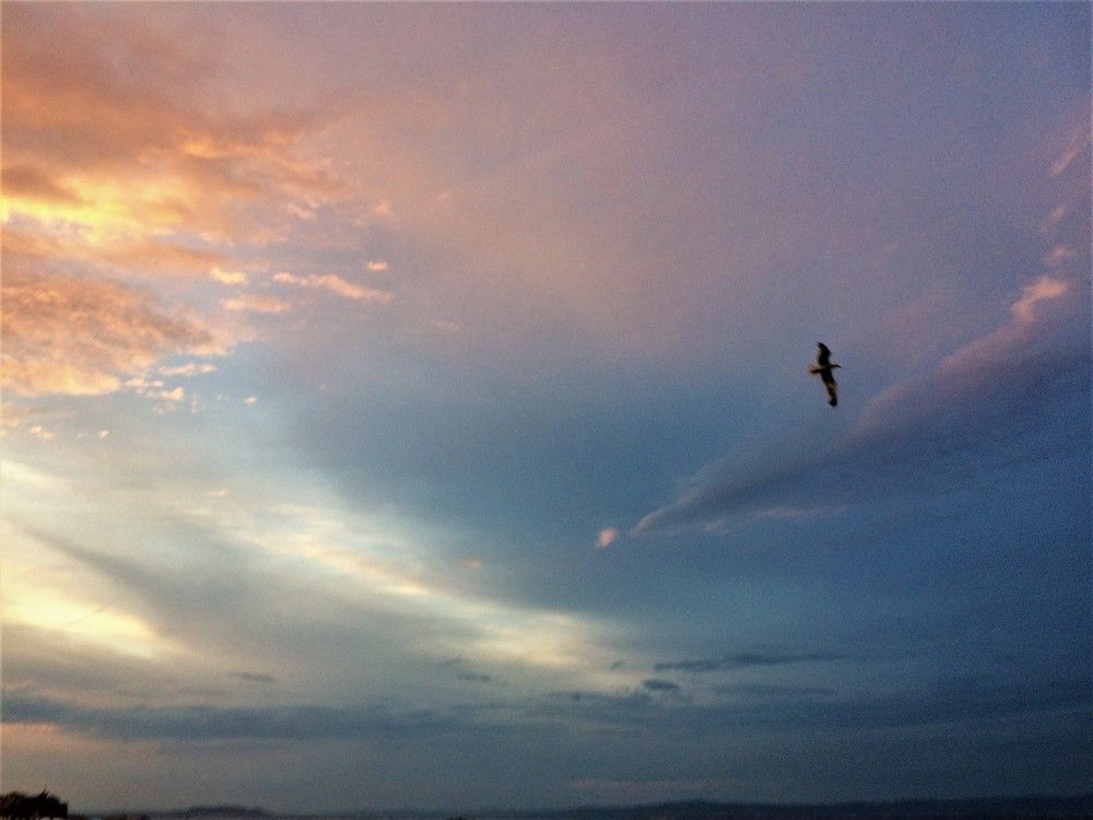 Photograph by Юлия Лис-а