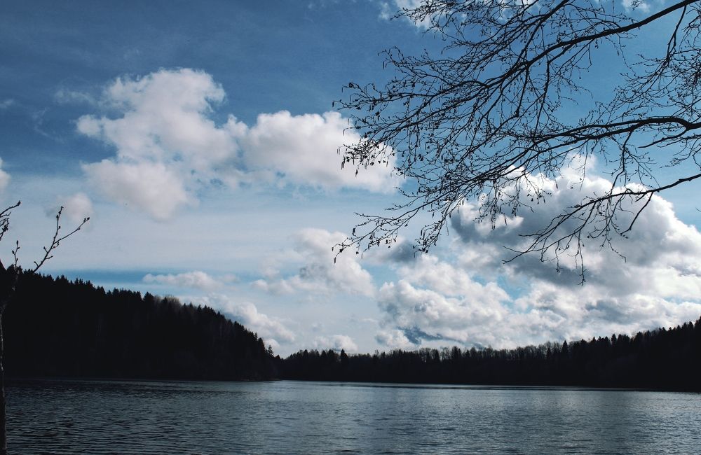 Photograph by Юлия Гаврильчик