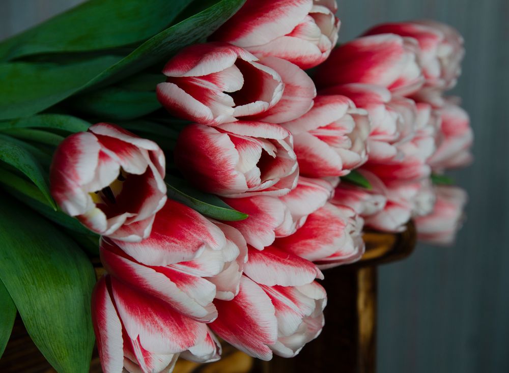 Photograph by Ганна Кліпіна