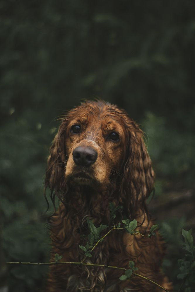 Photograph by Виктория Шлёпина