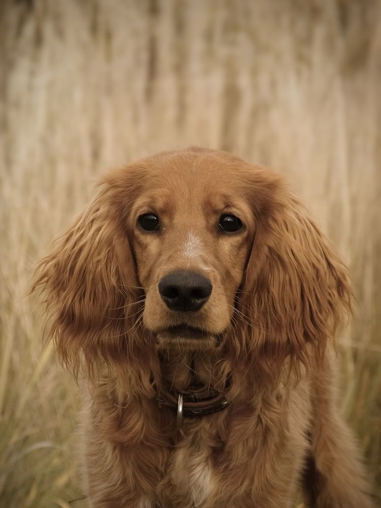 Photograph by Виктория Шлёпина