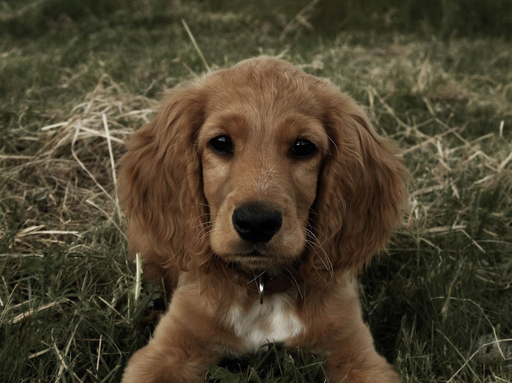 Photograph by Виктория Шлёпина