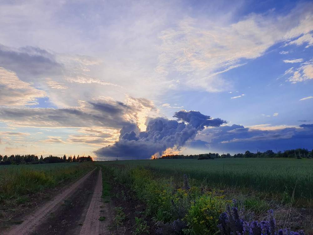 Photograph by Дарья Муллина