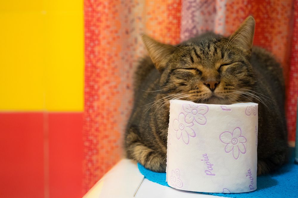 Photograph by Иван Коваленко