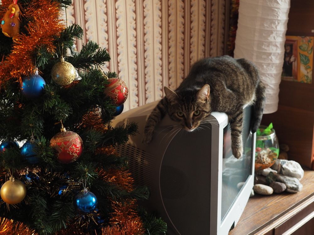 Photograph by Иван Коваленко