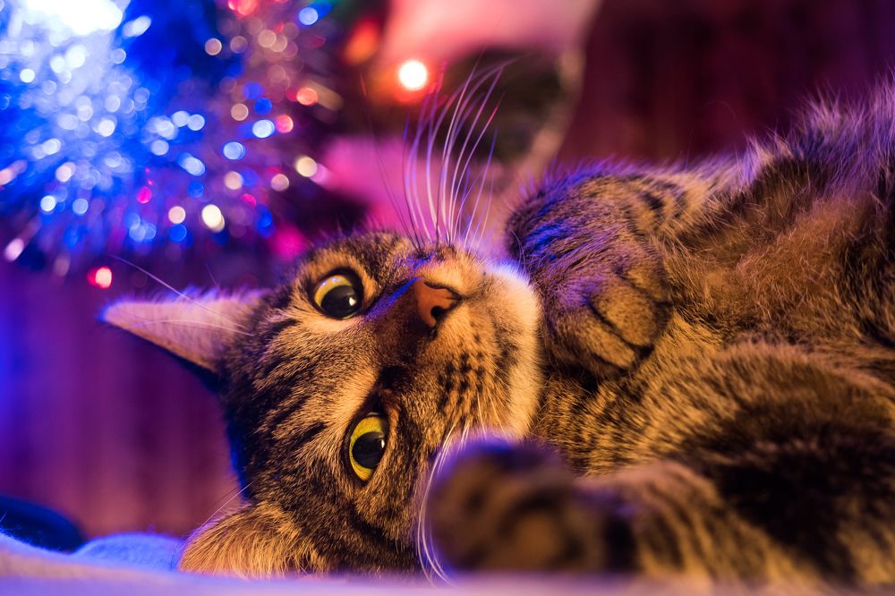 Photograph by Иван Коваленко