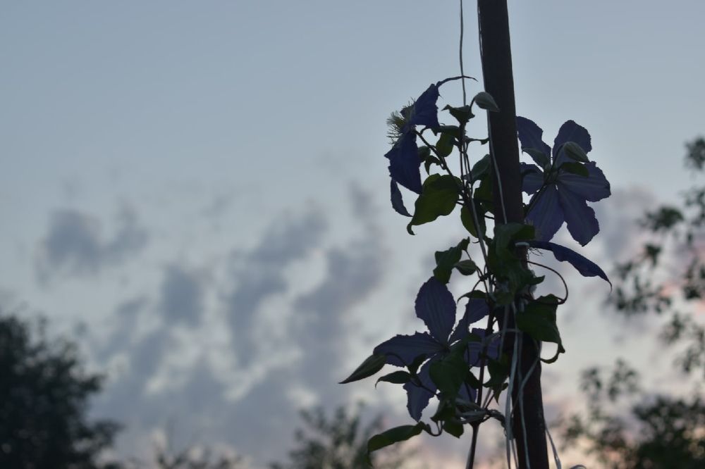 Photograph by Дарья Муллина