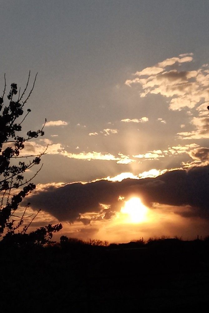 Вечерняя рапсодия