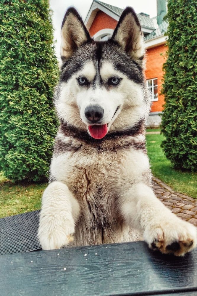 Photograph by Екатерина Ефимова