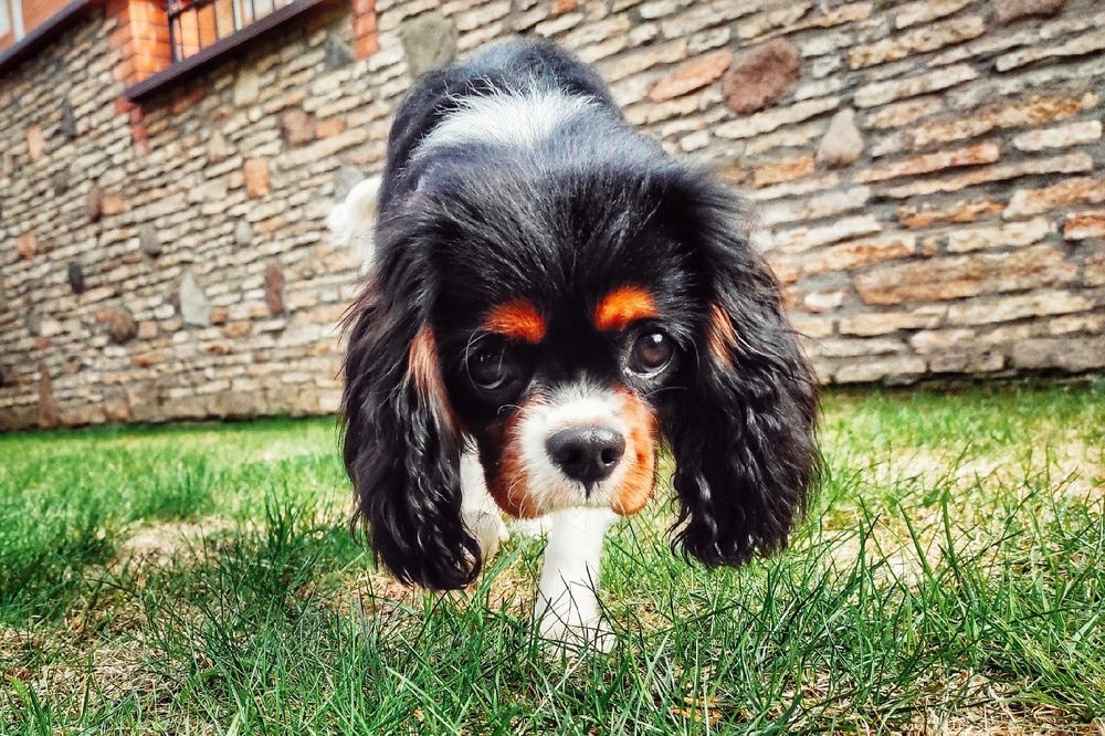 Photograph by Екатерина Ефимова