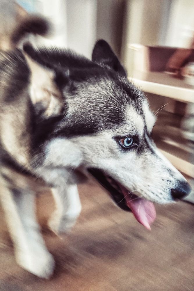 Photograph by Екатерина Ефимова