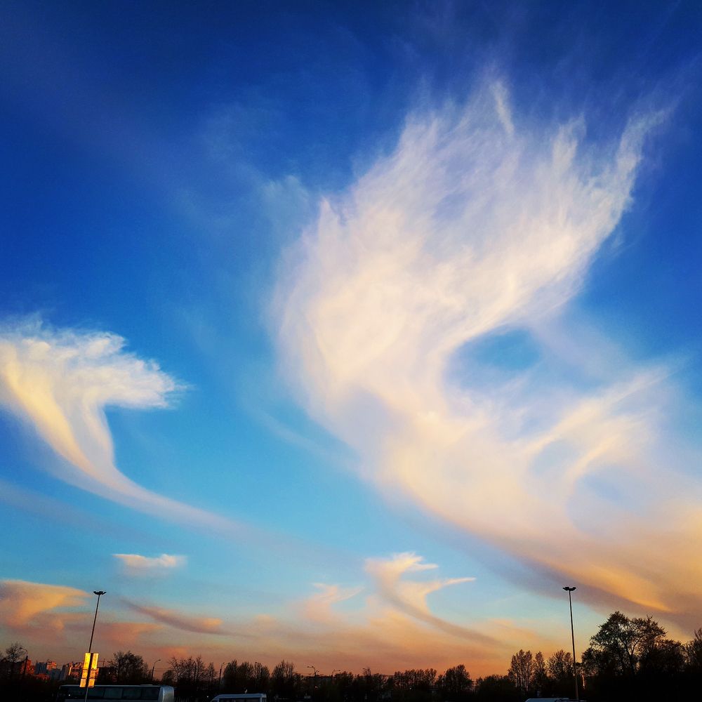 Photograph by Nora Cheprasova