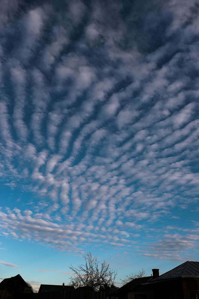 Photograph by Ирина Гончаренко