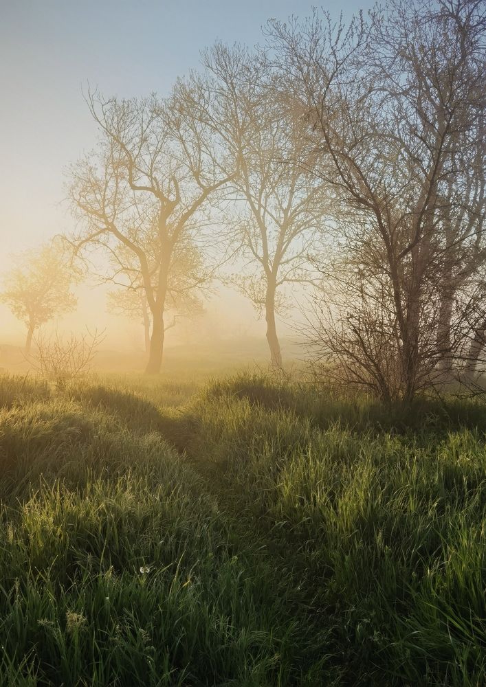 Неповторимое утро