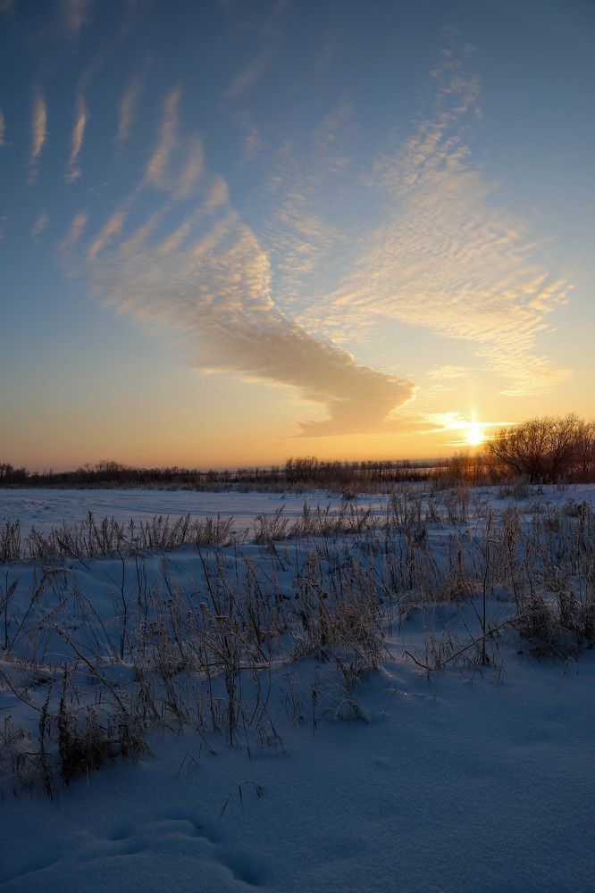 Photograph by Александр Трифанов