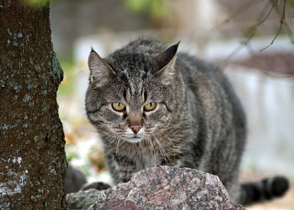 Photograph by Владимир Архипов