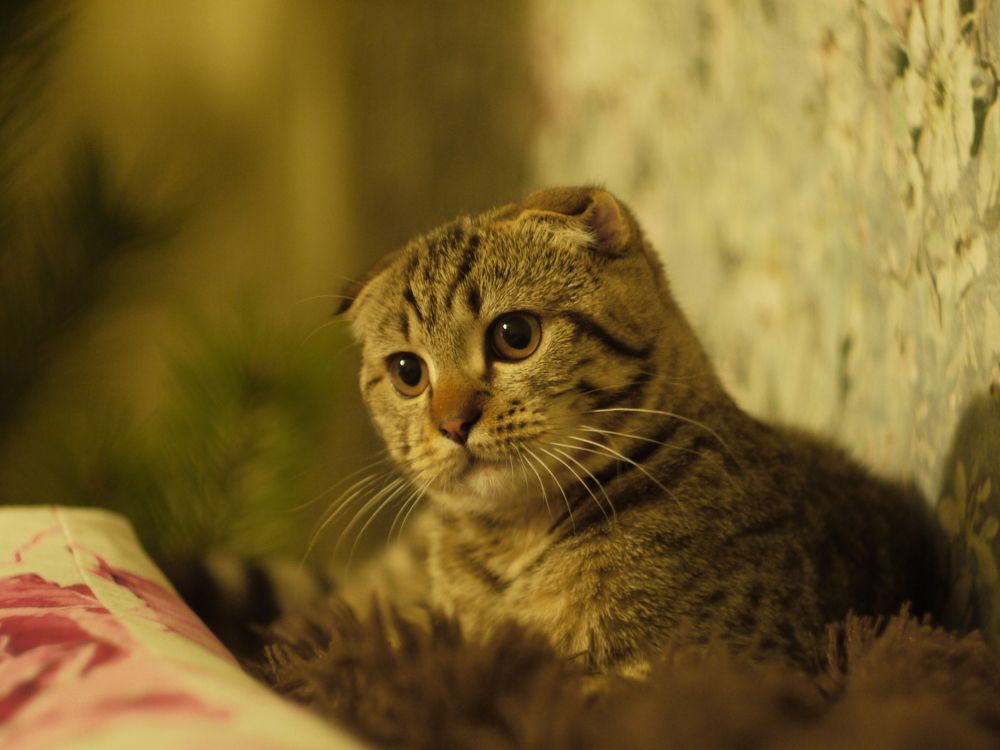 Photograph by Иван Скрипкин