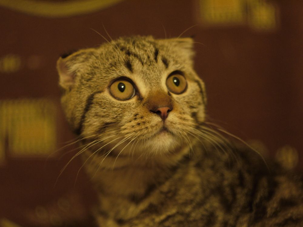 Photograph by Иван Скрипкин