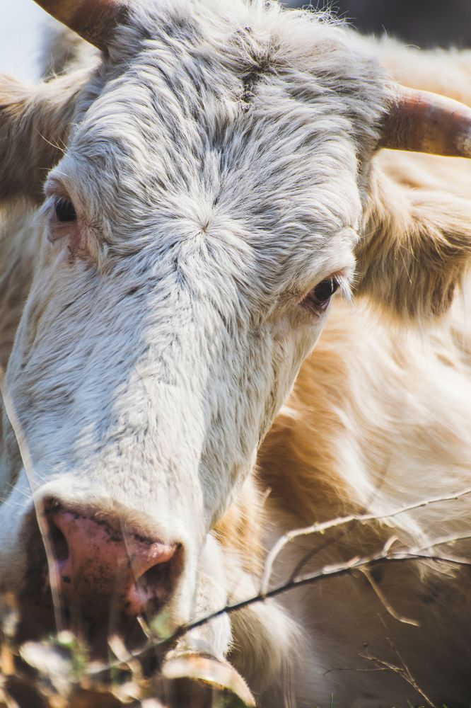 Photograph by Анастасия Киселева