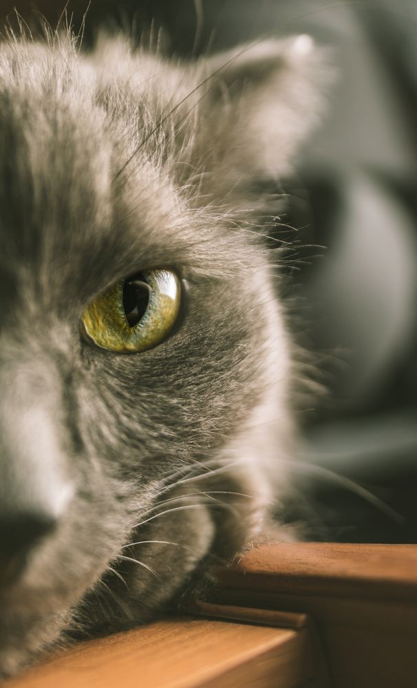 Photograph by Анастасия Киселева