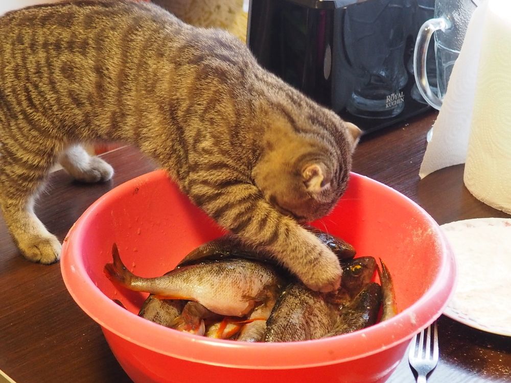 Photograph by Иван Скрипкин