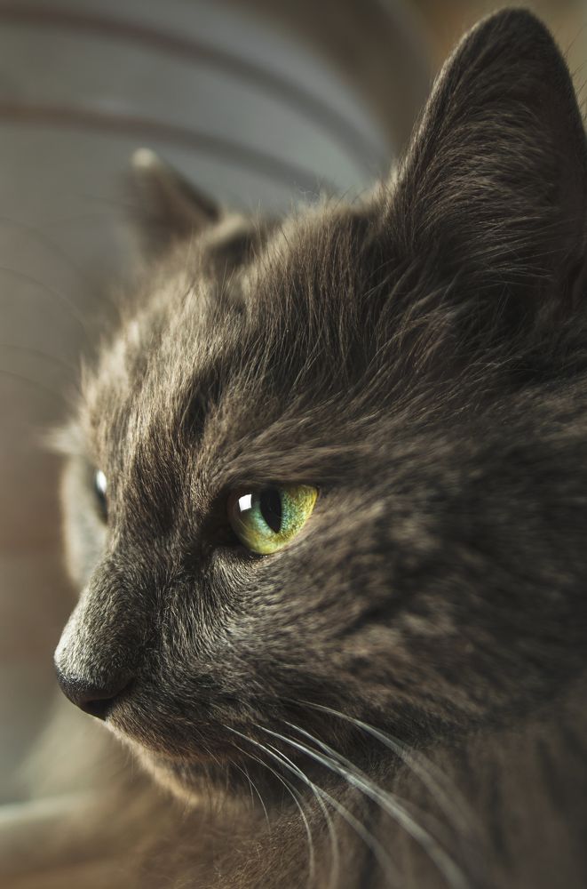 Photograph by Анастасия Киселева