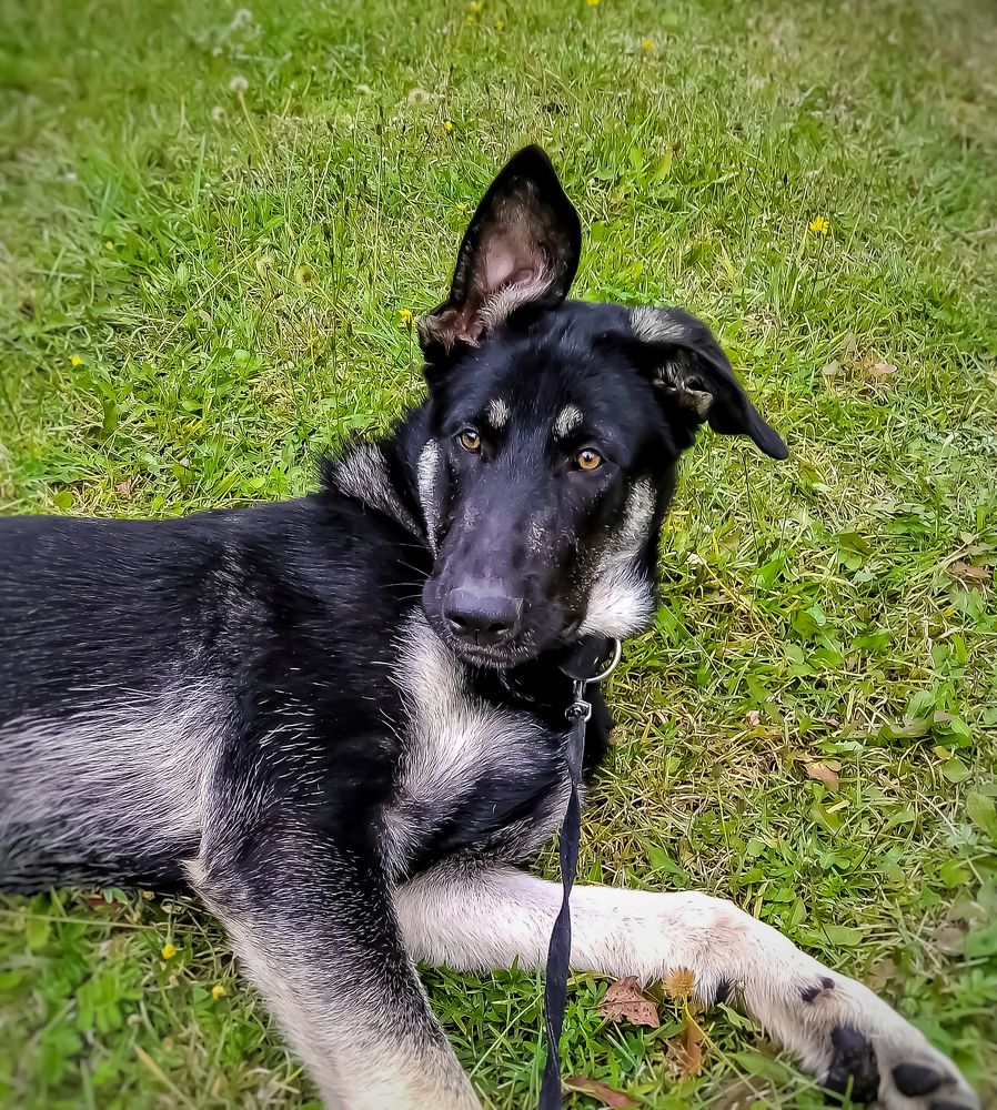 Photograph by Алексей Копылов