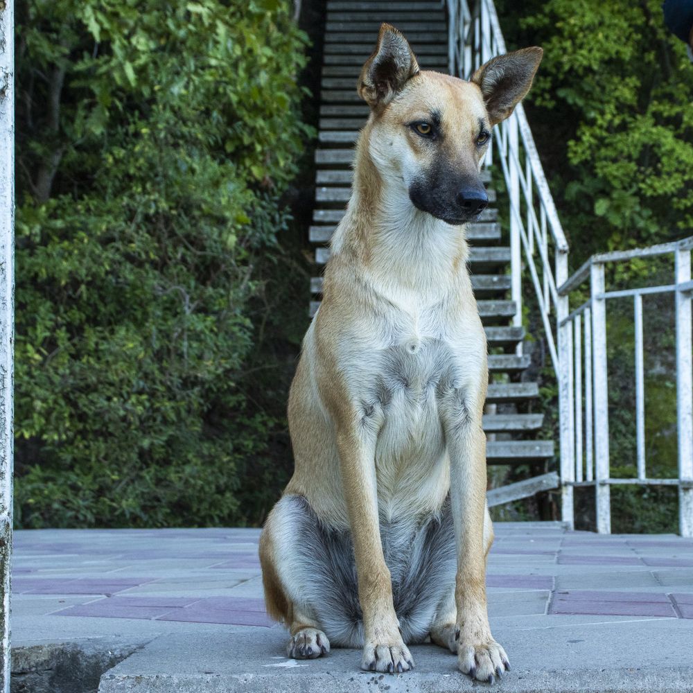 Photograph by Олег Башкуров