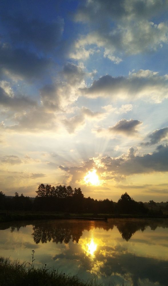Photo #6068508