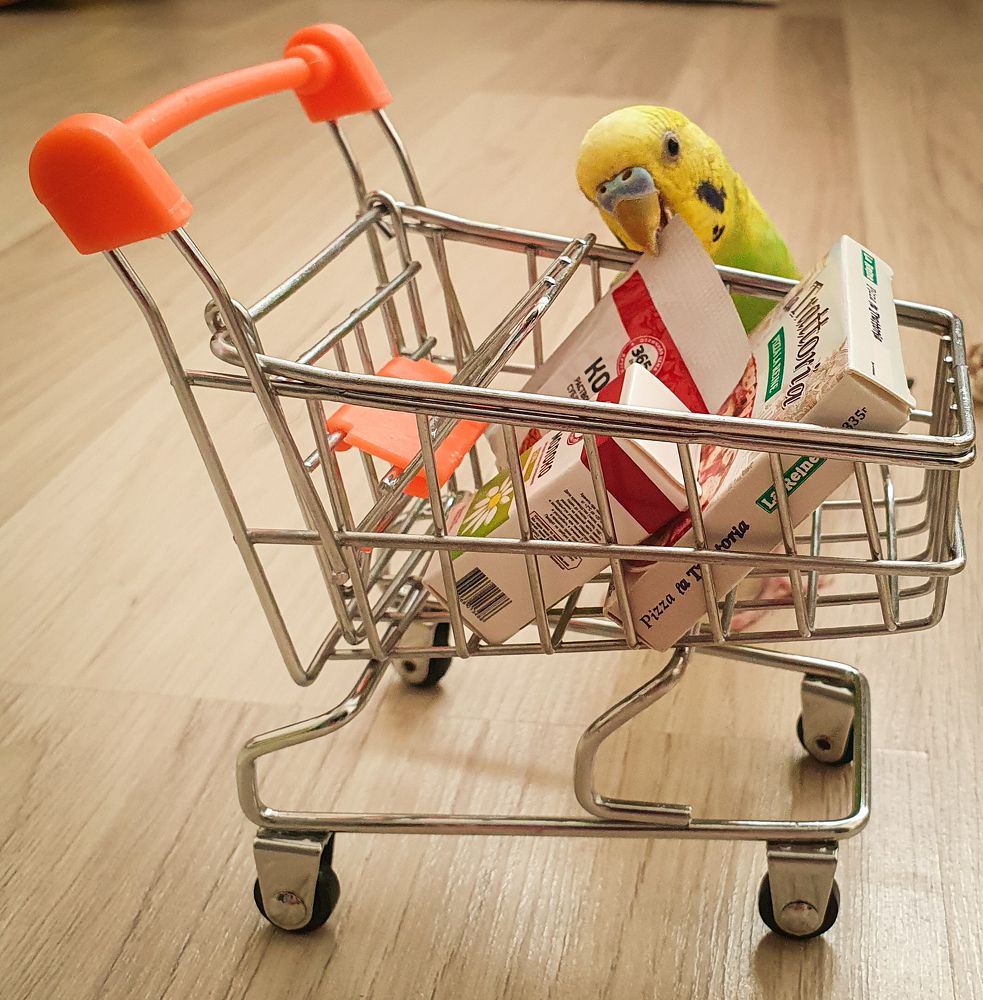 Photograph by Анастасия