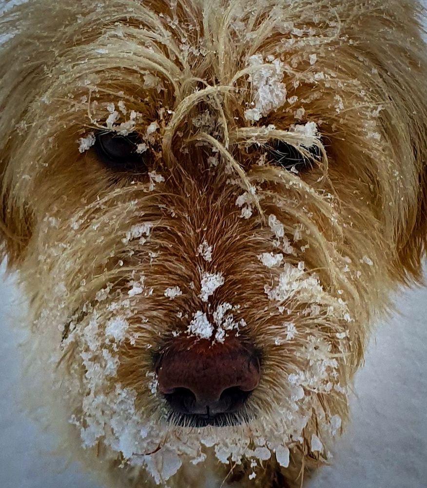 Photograph by Анастасия