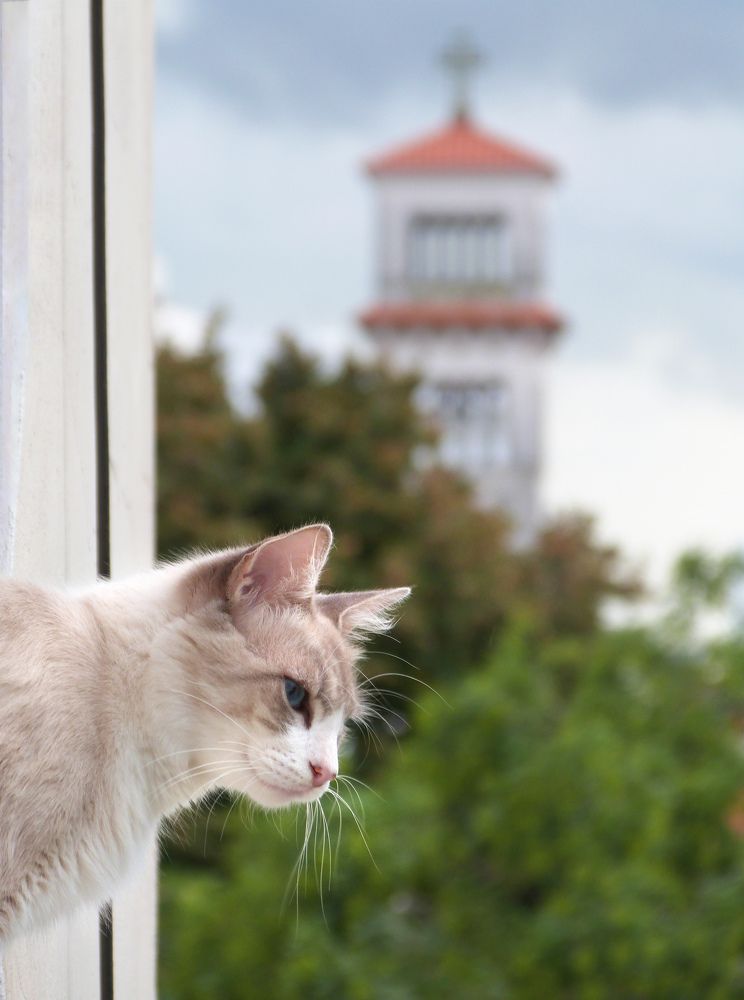 Photograph by Gleydda Gutierrez