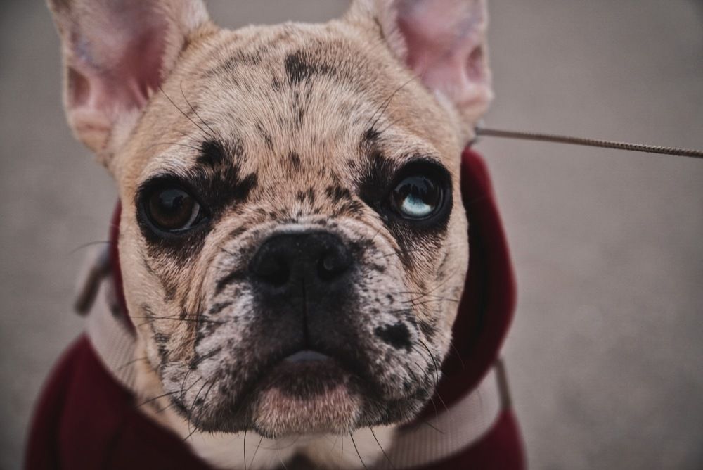 Photograph by Дмитрий Забуга