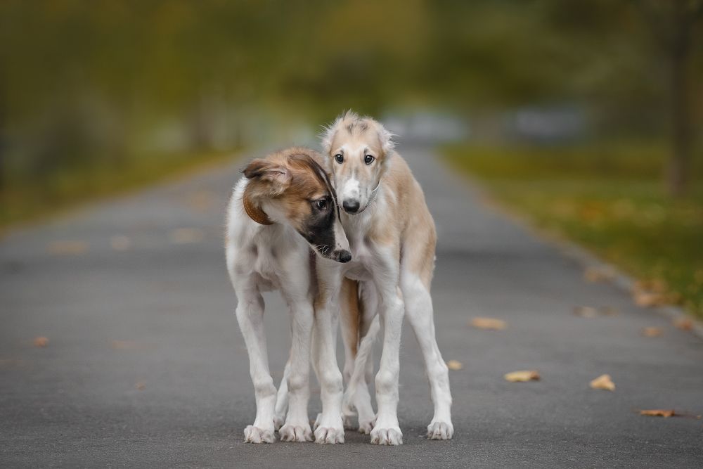 Photograph by Мария