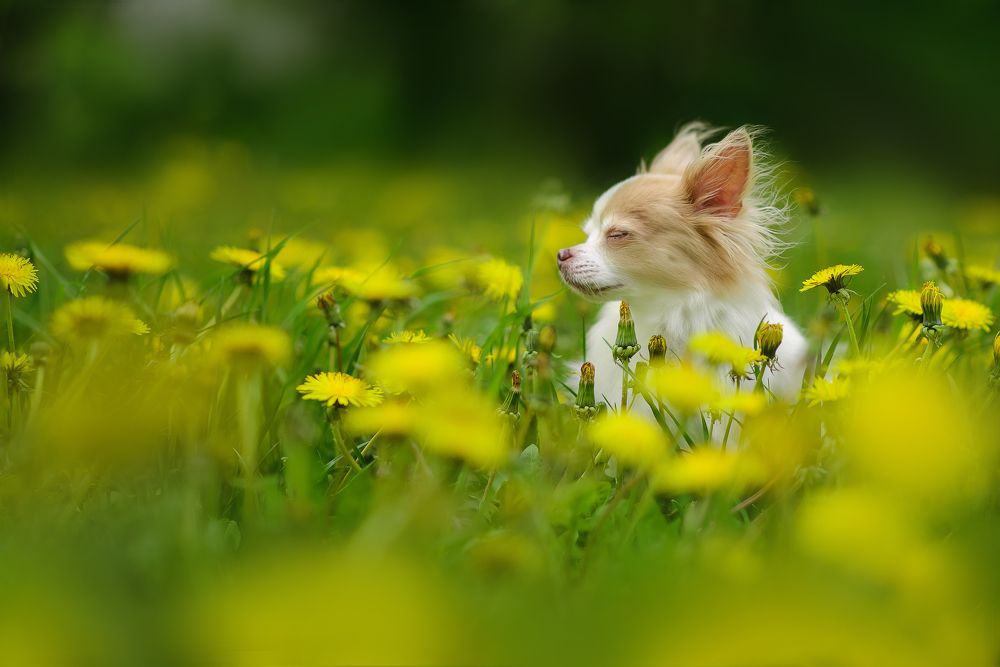 Photograph by Мария