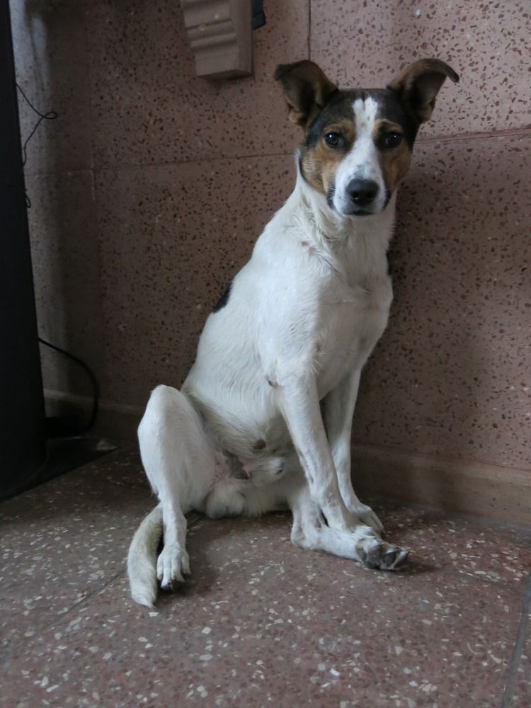 Photograph by ЭЛЬМИРА  ИСМАИЛОВА