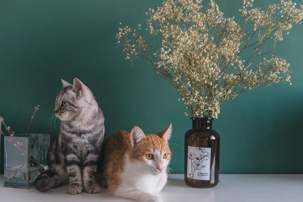 Photograph by Зухра Галиуллина